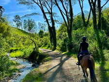 Colombia-Coffee Zone-Mountains and Waterfalls in Central Andes